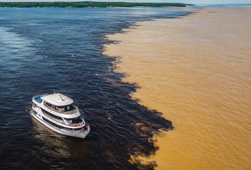 L’excursion à la Rencontre des Eaux à Manaus vaut-elle le détour