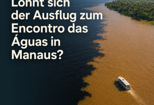 Lohnt sich der Ausflug zum Encontro das Águas in Manaus