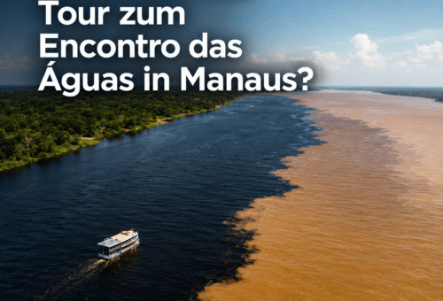 Lohnt sich die Tour zum Encontro das Águas in Manaus