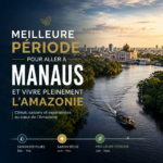 Meilleure période pour aller à Manaus et vivre pleinement l’Amazonie