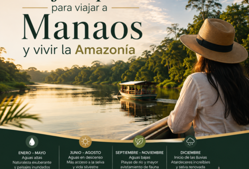 Mejor época para viajar a Manaos y vivir la Amazonía