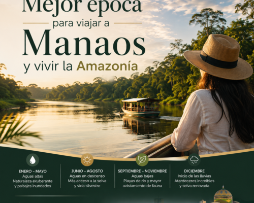 Mejor época para viajar a Manaos y vivir la Amazonía